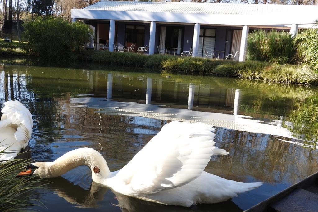 מידרנד Willow Place Guest House מראה חיצוני תמונה